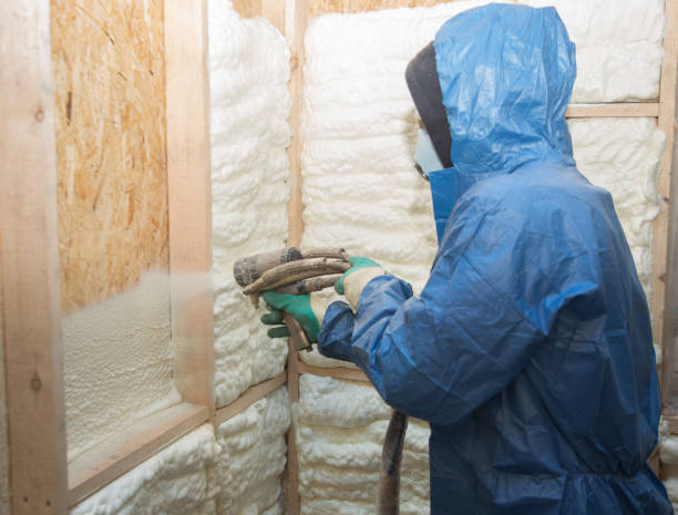 Best Eco-Friendly Insulation Solutions  in Oak Grove, VA